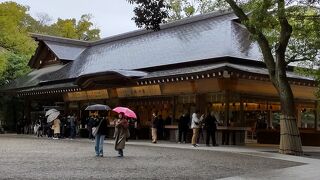 見どころたくさんパワーも頂きました。