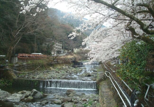 須雲川