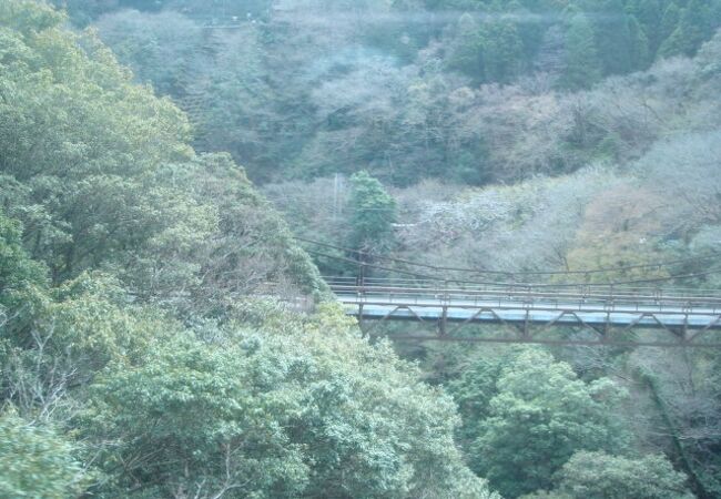 早川橋梁からの景色を見ました