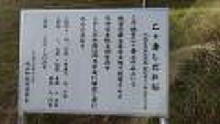 乙ヶ妻のシダレザクラ