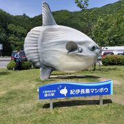 マンボウ料理の食べられる道の駅