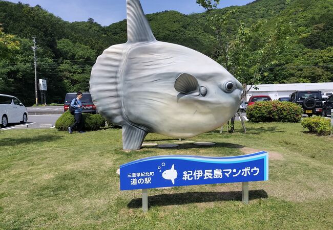 マンボウ料理の食べられる道の駅