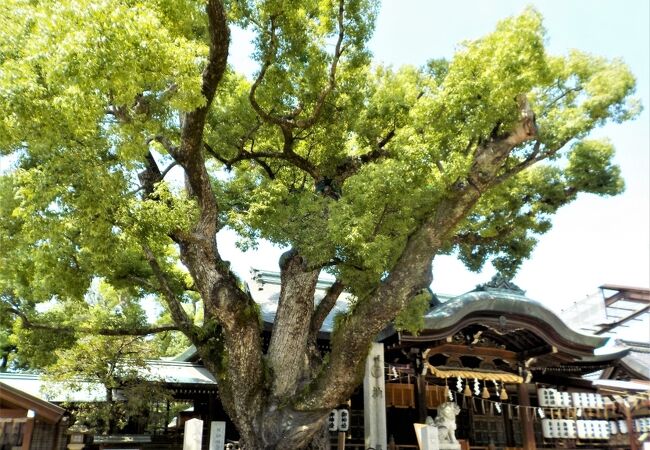 石切劔箭神社