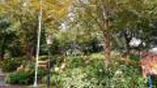 ハウステンボス ハロウィーン