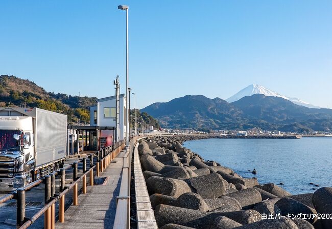 駿河湾越しに富士山頂を眺めることが出来ました