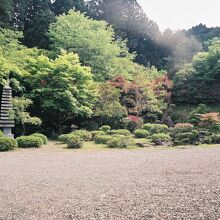 普門禅寺、園庭。