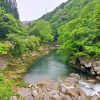 青もみじも綺麗です