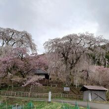 勝間薬師堂