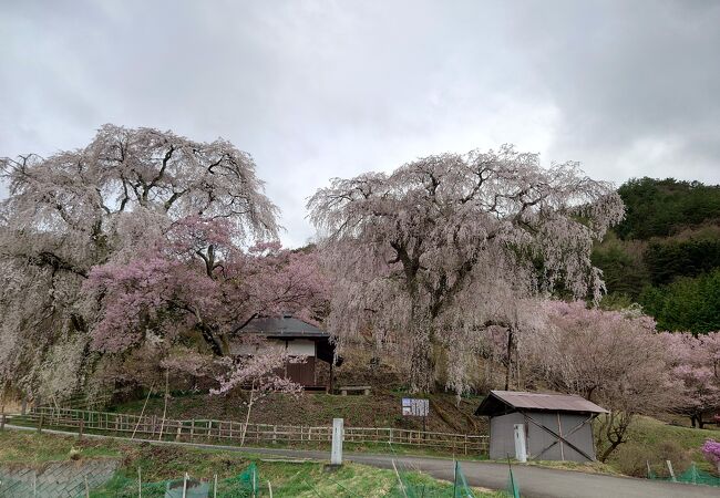 勝間薬師堂