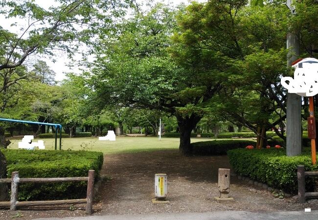 木々の多い静かな公園