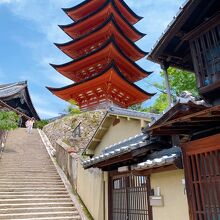 豊国神社まで、この階段を上がりました