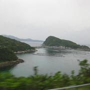 栢島全体が一望できます。