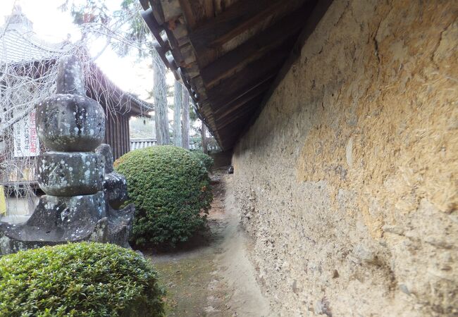 女人高野