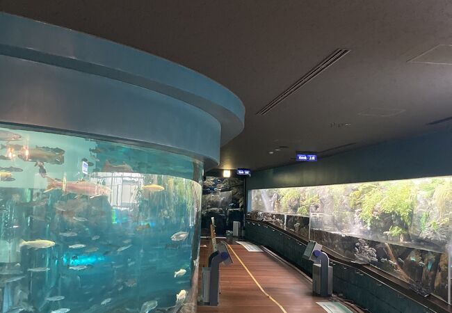 山梨県立富士湧水の里水族館(森の水族館)