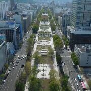 札幌の中心地にある大きな公園