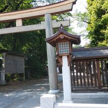 須賀神社