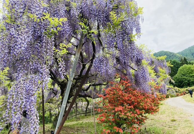 若穂 山新田区 見晴らし公園