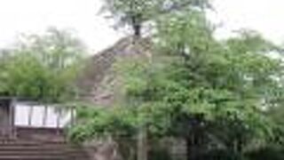 西日本有数の桜の名所