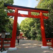 糺の森を歩いて下賀茂神社へ