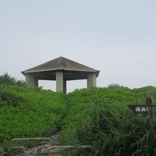 西海岸公園・白鳥崎