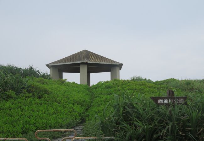 西海岸公園・白鳥崎