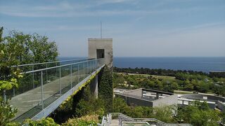 淡路夢舞台の高台から綺麗な海に季節の花々が楽しめます。