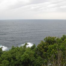 足摺岬からの太平洋を望む。