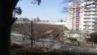 地上も少し走っている