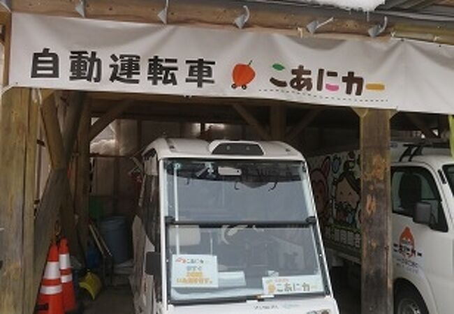 自動運転車に試乗できます