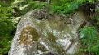 松尾芭蕉ゆかりの島