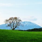 夕暮れ時でも美しい