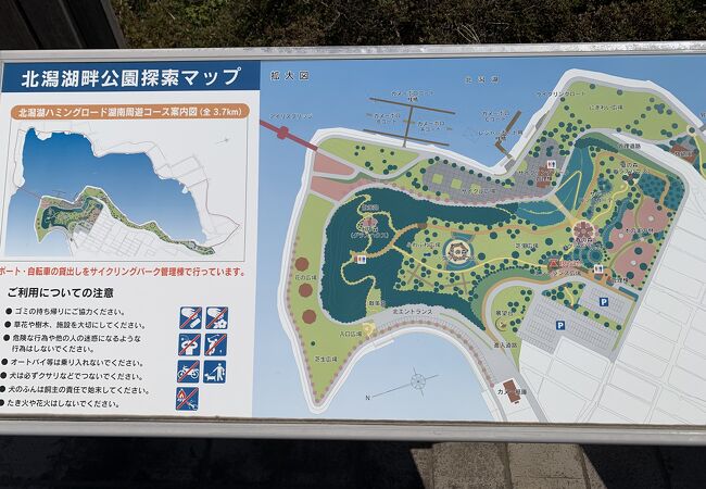 自然が一杯。北潟湖畔公園