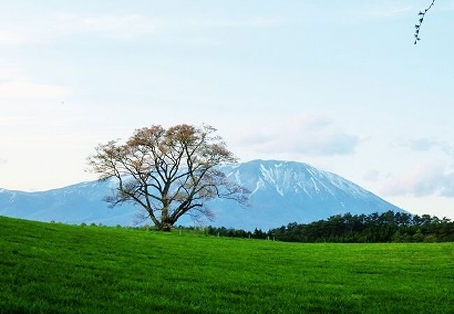 夕暮れ時でも美しい