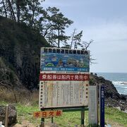 巌門を海から見るならば、能登金剛遊覧船 