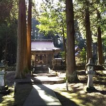 木々に囲まれた社殿（2月撮影）。