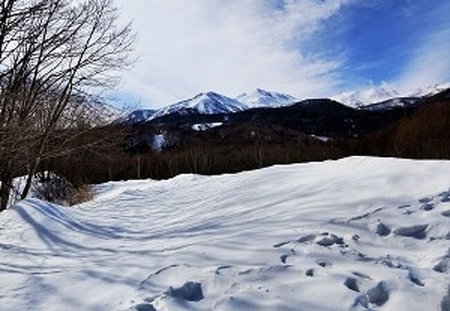 登れなくてもきれいです