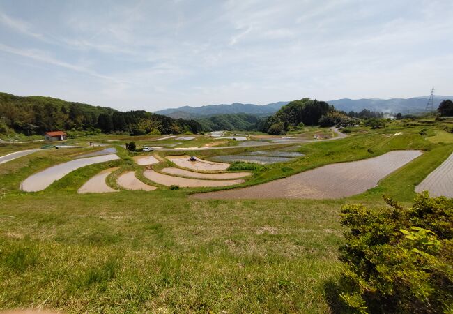 山王寺の棚田