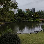 美しい公園