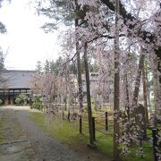 上杉家＋米沢藩士直江兼続の菩提寺。本堂内の歴史クイズ付き説明をしていただけます。