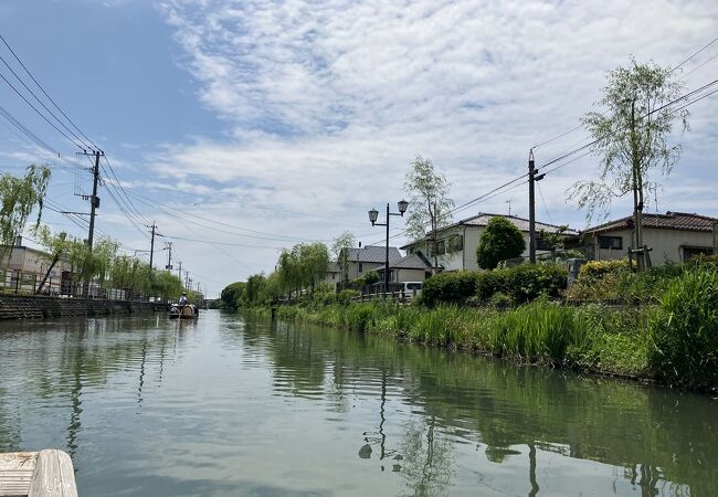 柳川の柳 クチコミ・アクセス・営業時間｜柳川・大川【フォー