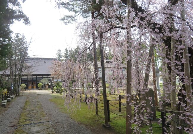 上杉家＋米沢藩士直江兼続の菩提寺。本堂内の歴史クイズ付き説明をしていただけます。