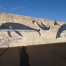 クジラの壁画です
