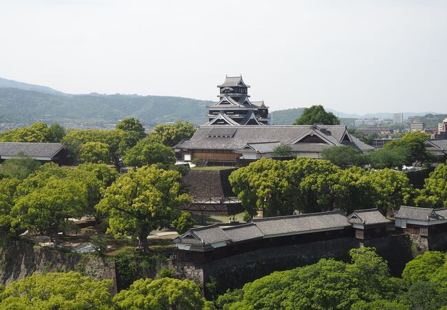 展望フロアから熊本城を見学