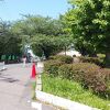 本羽田公園