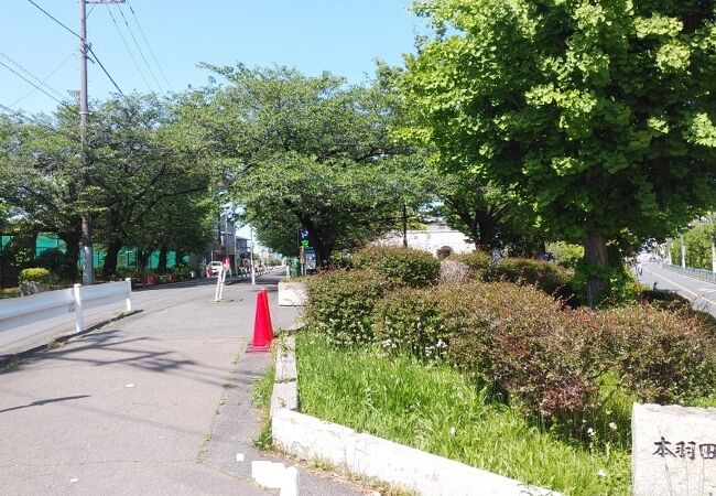 テニスコートとグラウンドが整備された公園