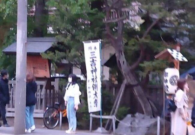 中心部の神社