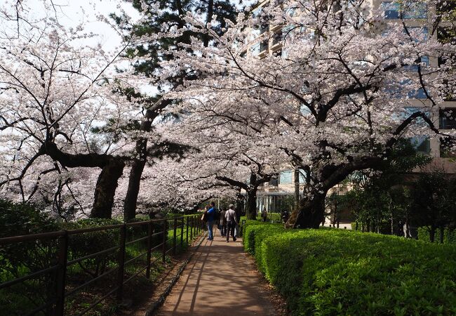 千鳥ケ淵緑道