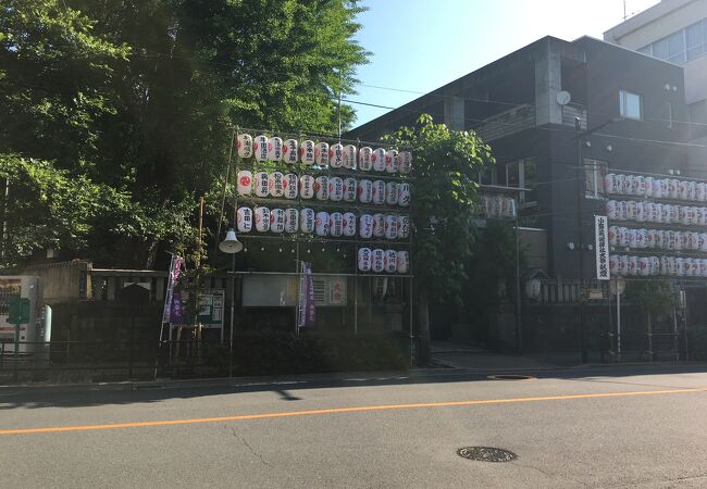 新緑に囲まれた神社