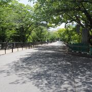 熊本城の入場する南口に続く道