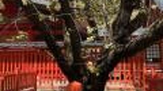 金櫻神社